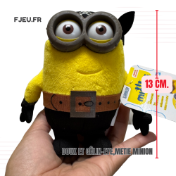 Doux et câlin-eye,Metie minion